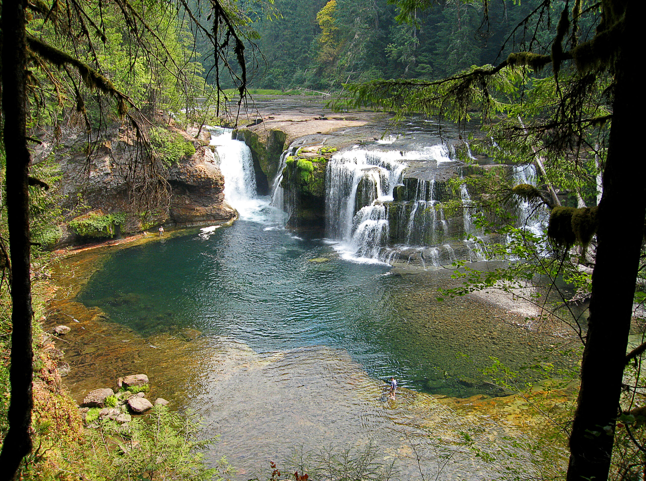 Camping at Mount St. Helens & Lewis River Falls | Community Nature Station