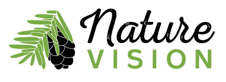 NatureVisionWEB Transp ColorFull 768x280