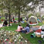 1484348869_258_sizdeh-bedar-13th-day-of-norouz-iran-nature-day