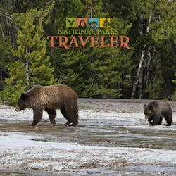 The Future of Grizzly Bears