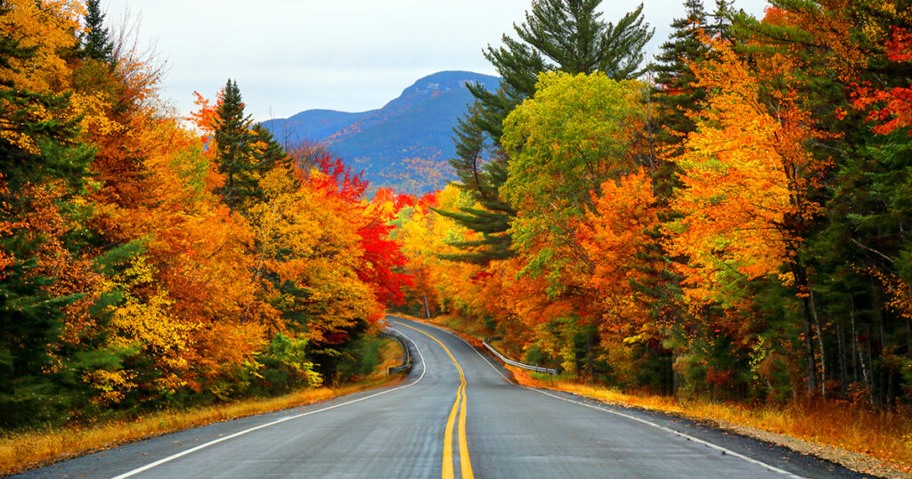 chuckanut-road jpg