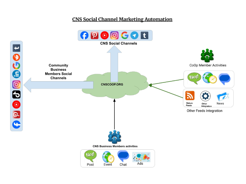 cns social ( x px)