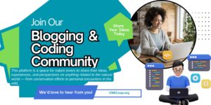 join-our-blogging-coding-