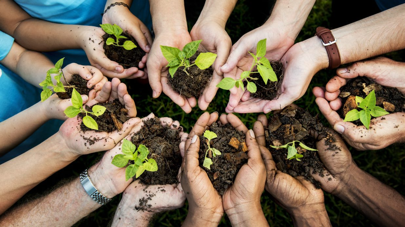 Nature Stewardship